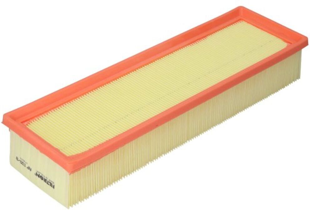 Filtron Filtro aria AP130/8