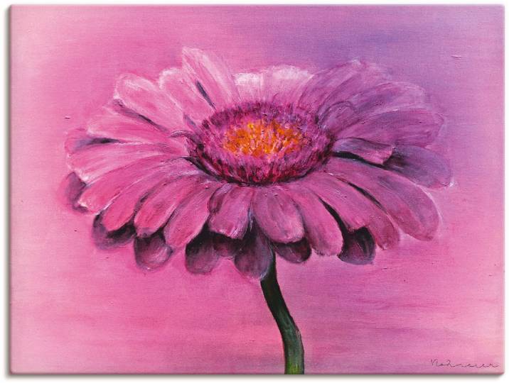 Leinwandbild ARTLAND Gerbera , pink (farbe bild(er): pink), B:120cm H:90cm, Bilder, Leinwandbild, auf Holzrahmen gespannt