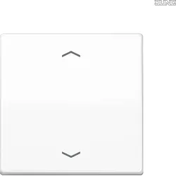Jung Steuertaste Standard Symbole Pfeile AS 1700 P WW