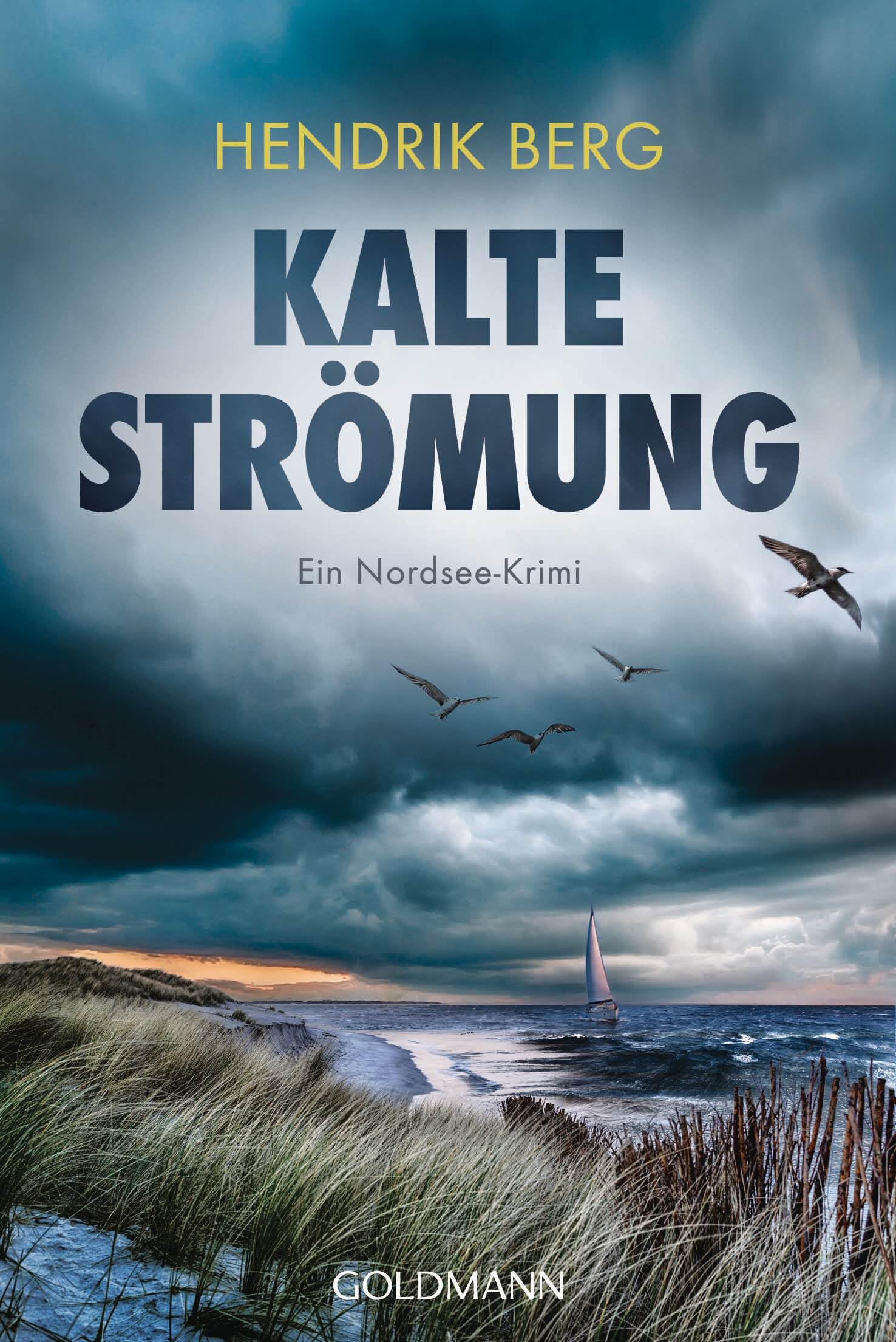 Hendrik Berg - Kalte Strömung: Ein Nordsee-Krimi (Ein Fall für Theo Krumme, Band 11) - Preis vom 15.10.2026 23:06:25 h