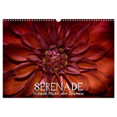 Serenade - Visuelle Musik der Blumen (Wandkalender 2027 DIN A3 quer), CALVENDO Monatskalender