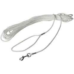 Martin Sellier Hunde-Leine Nylonband (Hund, Spazieren), Halsband + Leine