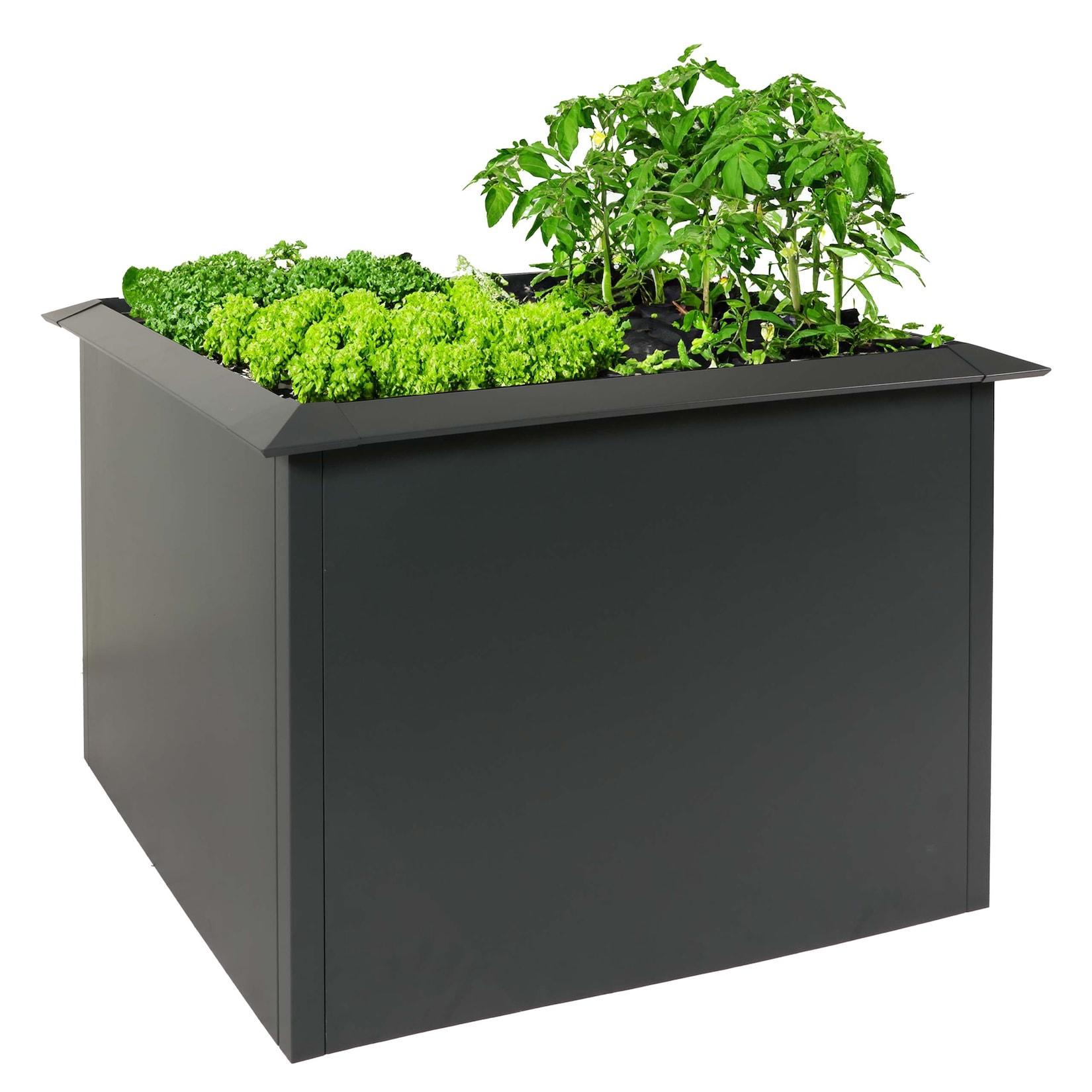 Hochbeet MCW-N24, Metallhochbeet Gemüsebeet Blumenkasten Pflanzkübel, Schneckenkante 78x110x110cm Eisen 44kg, anthrazit