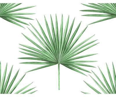 Harry & Grace Pacific Palm Peel and Stick Wallpaper
