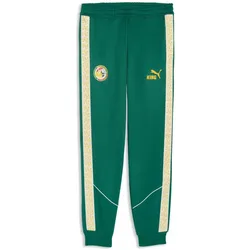 Puma, Herren, Sporthose, FSF KING Anthem Pants (S), Grün, Gelb