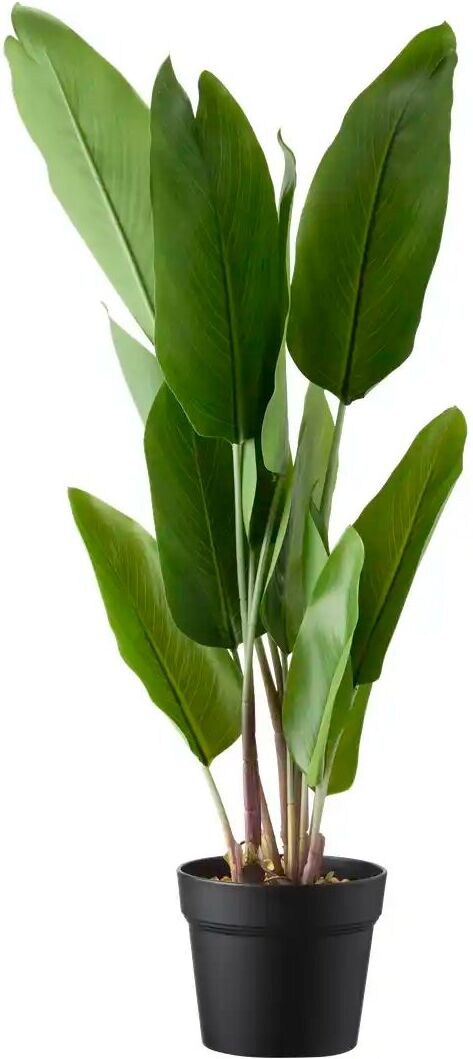 Höffner Strelitzia getopft   ¦ grün ¦ Kunststoff ¦ Maße (cm): H: 70
