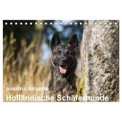ausdrucksvolle Holländische Schäferhunde (Tischkalender 2026 DIN A5 quer), CALVENDO Monatskalender