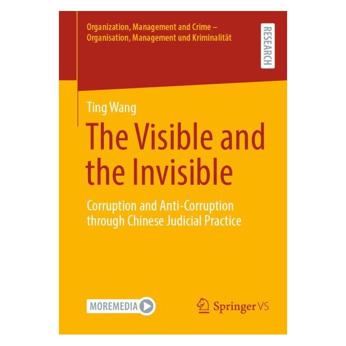 Springer The Visible and the Invisible (Englisch, Softcover, Ting Wang) (66299406)