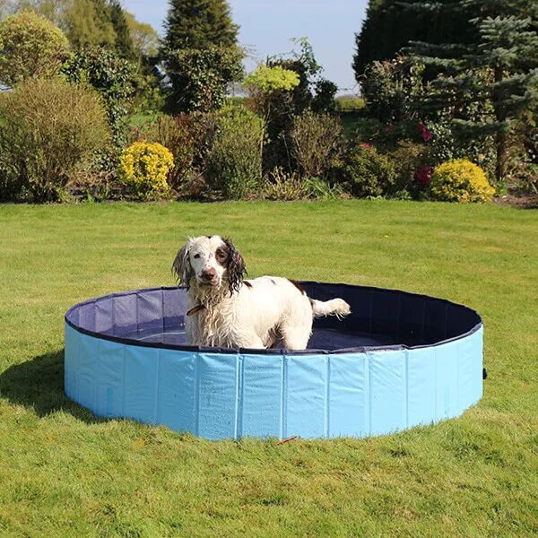 Rosewood Cool Down 120 x 30cm Foldable Dog Pool