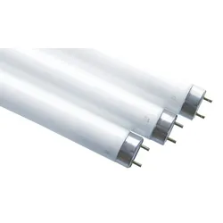 Scharnberger+Hasenbein Leuchtstofflampe T8 44143