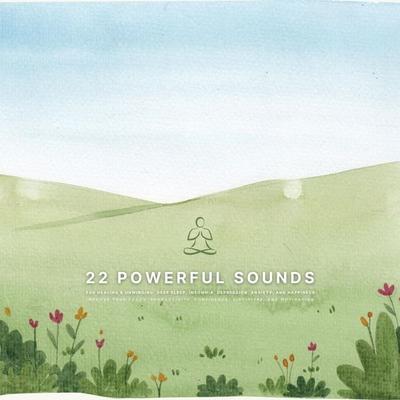 22 Powerful Sounds for Healing & Unwinding: Deep Sleep, Insomnia, Depression, Anxiety, and Happiness - Sounds for Healing and Unwinding, Audio,
