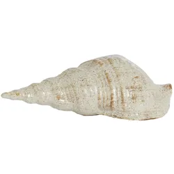 Light&Living Ornament 12,50x9cm SHELL - B/H/T ca. 12.50x9.00x27.50