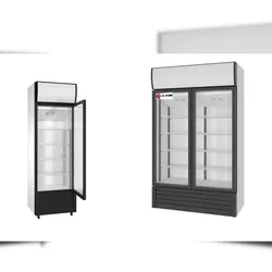 Gasfrit – Kühl-Display-Schrank mit 1 oder 2 Glastüren