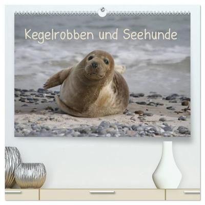 Kegelrobben und Seehunde (hochwertiger Premium Wandkalender 2027 DIN A2 quer), Kunstdruck in Hochglanz