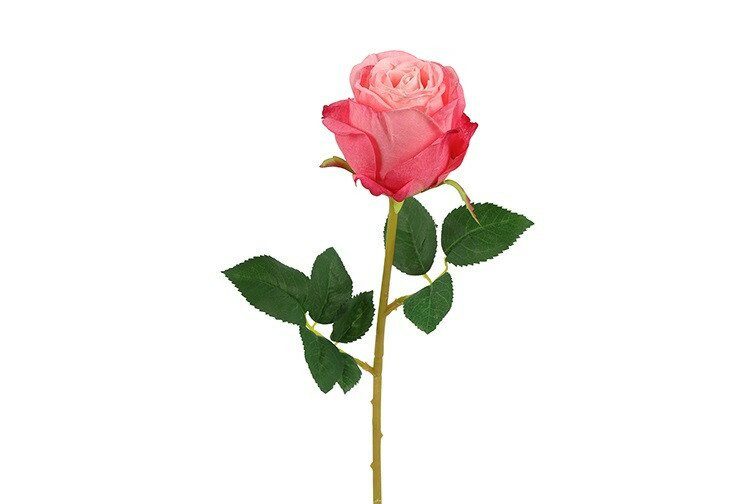 Countryfield zijden compasion roos roze 60 cm