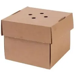 Ekoe Plastic Free Solutions Ekoe Burger-Box zum Mitnehmen aus kompostierbarem Karton, 100 Stück