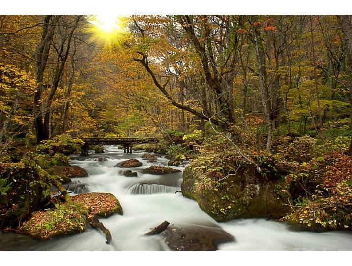 Fototapete PAPERMOON WALD-NATUR BÄUME WASSERFALL DSCHUNGEL HERBSTLANDSCHAFT , bunt, B:4m L:2,6m, Vlies, Tapeten, Fototapete