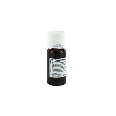 Prunus Spinosa Summitates Urtinktur 50 ml Dilution