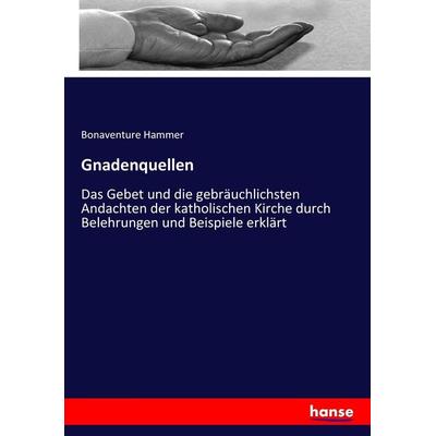 Gnadenquellen, Taschenbuch von Bonaventure Hammer, Hansebooks, 978-3-7436-3199-1