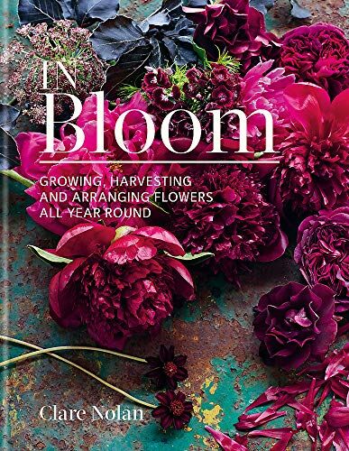Clare Nolan - In Bloom: Growing, harvesting and arranging flowers all year round - Preis vom 10.10.2026 11:48:34 h
