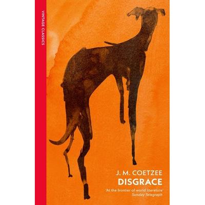 Disgrace, Taschenbuch von J.M. Coetzee, Vermilion, 978-1-78487-905-1