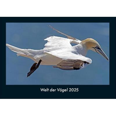 Welt der Vögel 2025 Fotokalender DIN A4