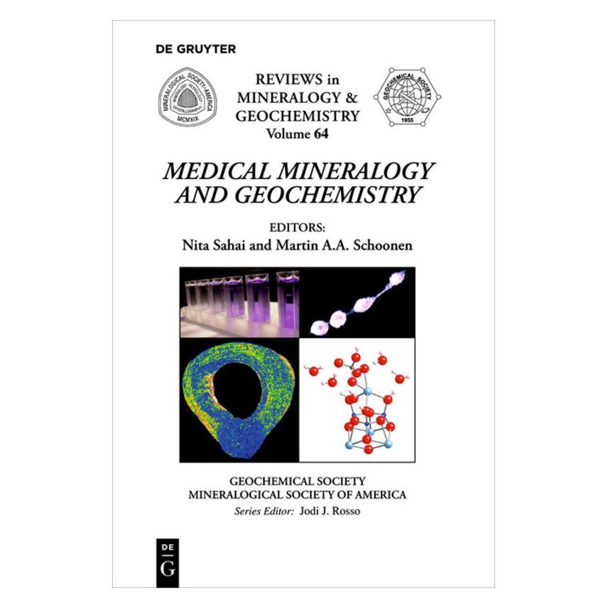 De Gruyter Medical Mineralogy and Geochemistry (Englisch, Softcover, Martin A. A. Schoonen, Nita Sahai) (55974857)