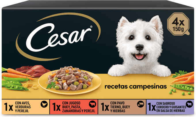 Cesar Receitas Campestres Multipack 6 uds x 4 uds