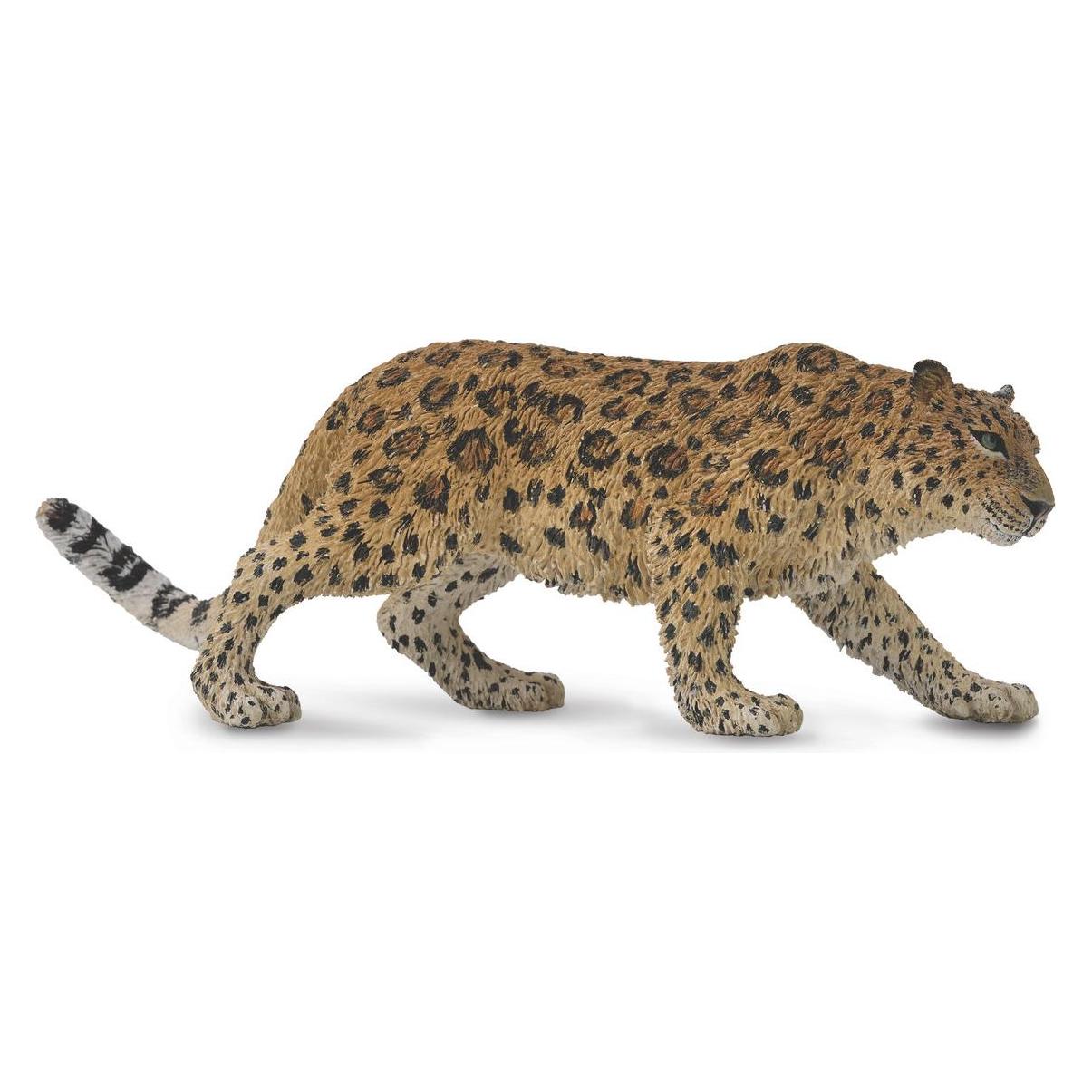 Collecta Amurleopard XL, 88708 (004-88708)