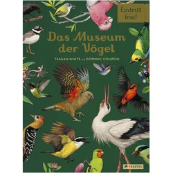 Das Museum der Vögel, Kinderbücher von Teagan White, Dominic Couzens
