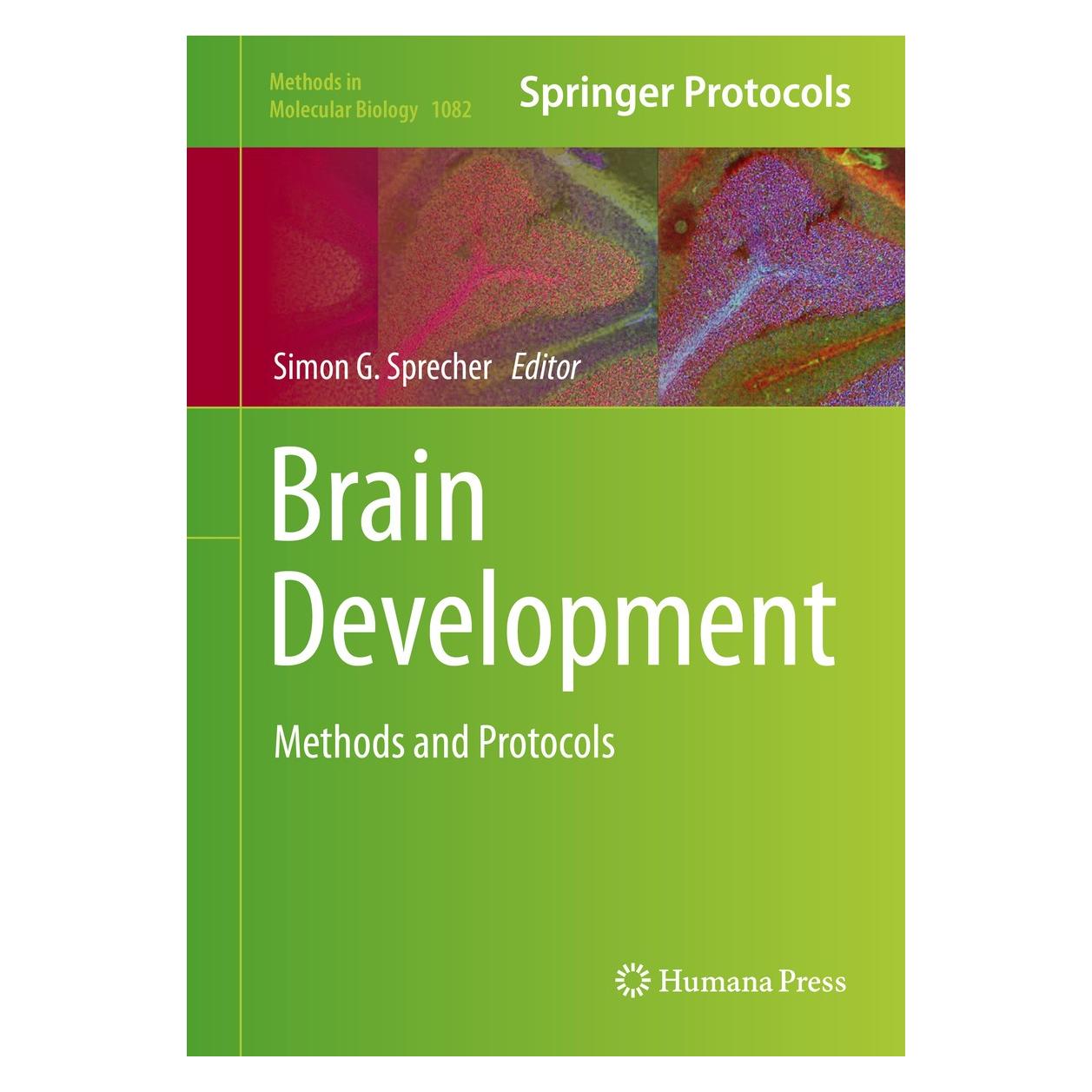 Humana Press Brain Development (Englisch, Hardcover, Simon G. Sprecher) (9781627036542)