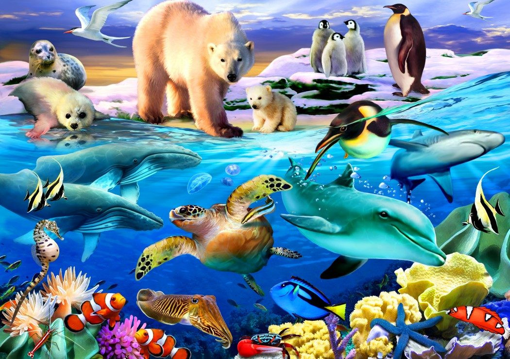 Bluebird Puzzel Oceans of Life - 1000 stukjes