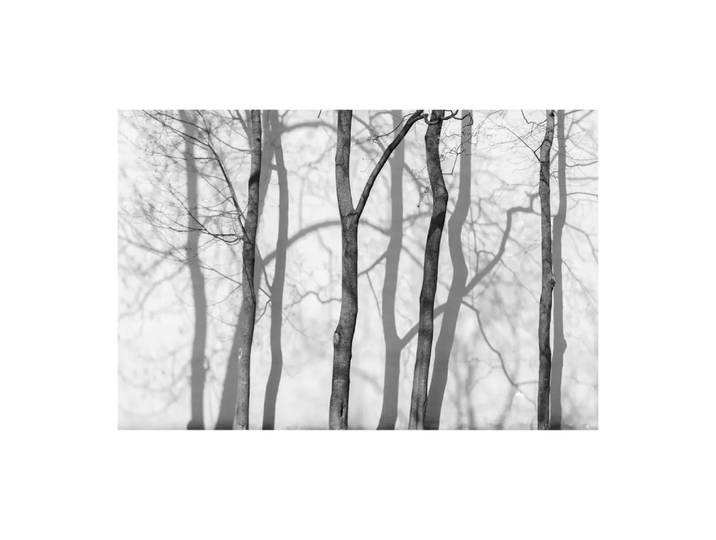 Leinwandbild Digital Art, Alldecor, hellgrau/grau/schwarz, Textil
