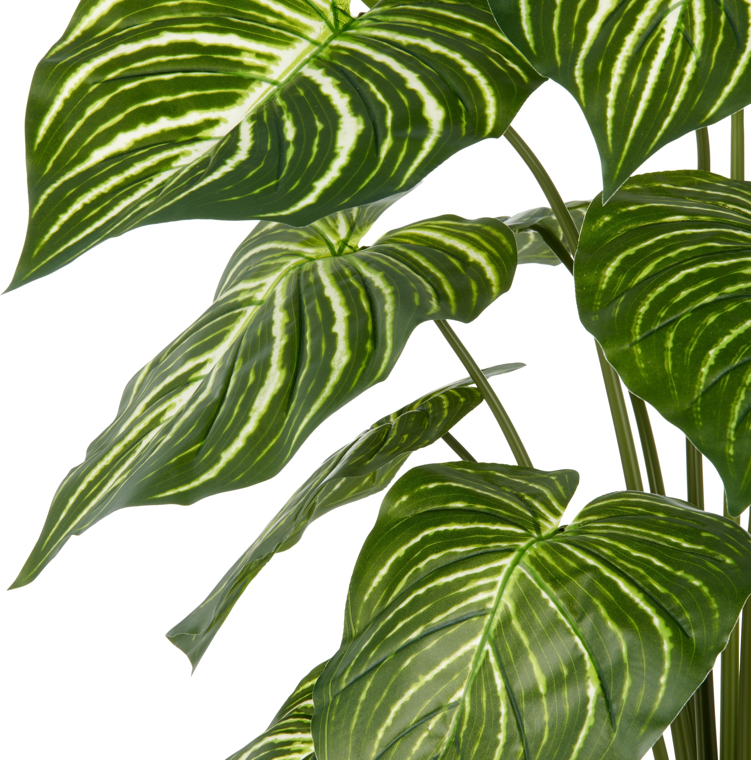 Kunstpflanze CREATIV GREEN "Philodendron Birkin", grün (grün, weiß), H:100cm, Kunststoff, Kunstpflanzen, Kunstpflanze, mit naturgetreuem Blattwerk