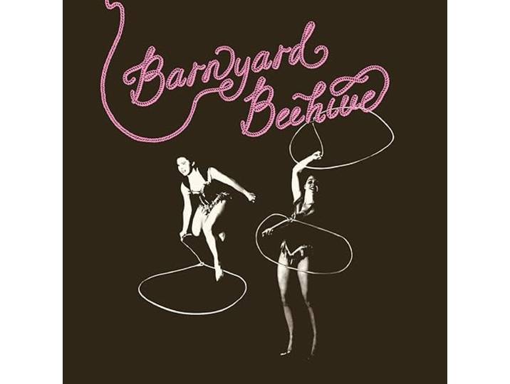 Barnyard Beehive