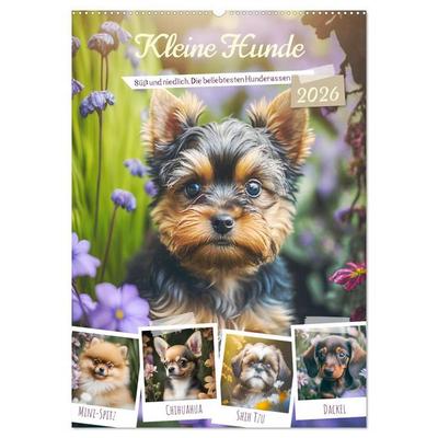 Kleine Hunde. Süß und niedlich. Die beliebtesten Hunderassen (Wandkalender 2026 DIN A2 hoch), CALVENDO Monatskalender