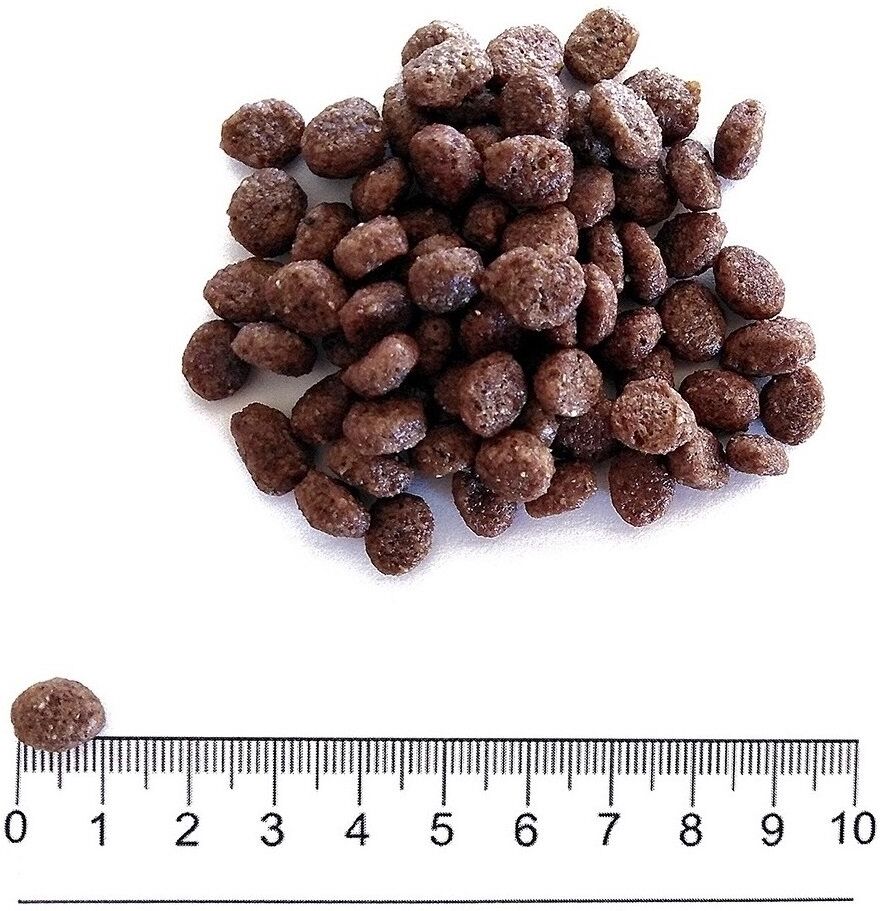 Prolife Secco Cane Grain Free Sensitive Maiale e Patate Mini 2 kg