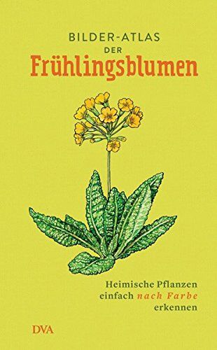 Bilder-Atlas der Frühlingsblumen: Heimische Pflanzen einfach nach Farbe erkennen - Preis vom 30.09.2026 22:30:23 h