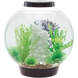 biOrb CLASSIC 30 LED schwarz (72005)
