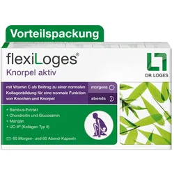 Flexiloges Knorpel Aktiv Kapseln 240 St