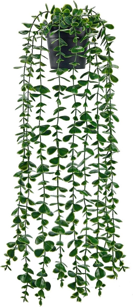 Kunstplant Eucalyptus Hangplant Groen - 62 cm