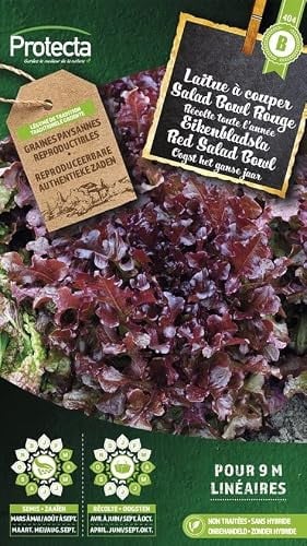 Protecta Eikenbladsla Rode Salad Bowl Groentezaden
