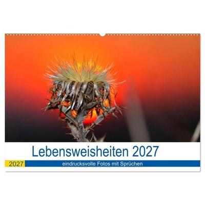 Lebensweisheiten 2027 (Wandkalender 2027 DIN A2 quer), CALVENDO Monatskalender