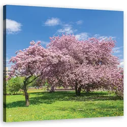 WANDBILD landschaften rosa