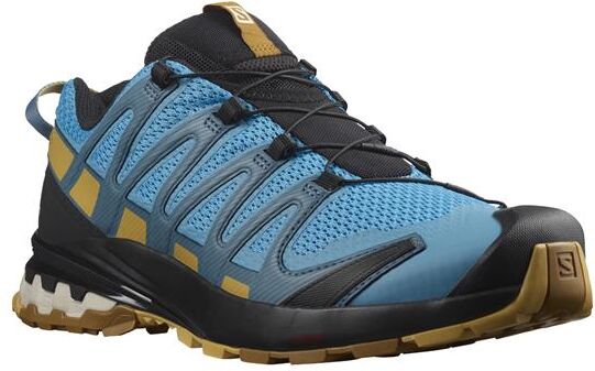 Salomon XA Pro 3D v8 Mens, Reef / Fall Leaf 41