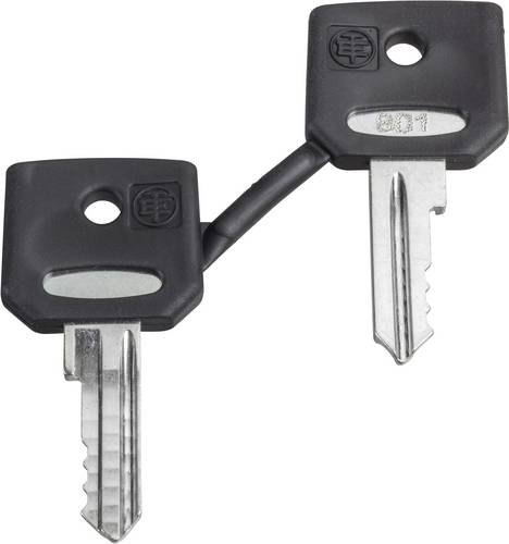 Schneider Electric ZBG421E ZBG421E Ersatzschlüssel 1 St.