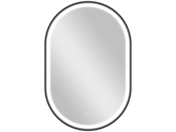 YWJ Miroir Salle Bain LED 60x90cm Ovale Mural 3 Couleurs Intensité Réglable Anti-Buée Noir