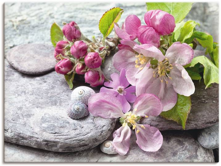 Leinwandbild ARTLAND Apfelblüten , pink (farbe bild(er): pink), B:120cm H:90cm, Bilder, Leinwandbild, auf Holzrahmen gespannt