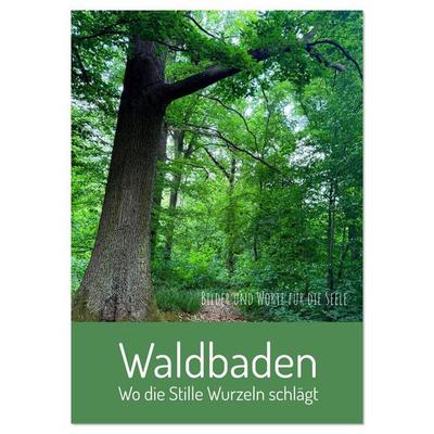 Waldbaden – Wo die Stille Wurzeln schlägt (Wandkalender 2026 DIN A3 hoch), CALVENDO Monatskalender