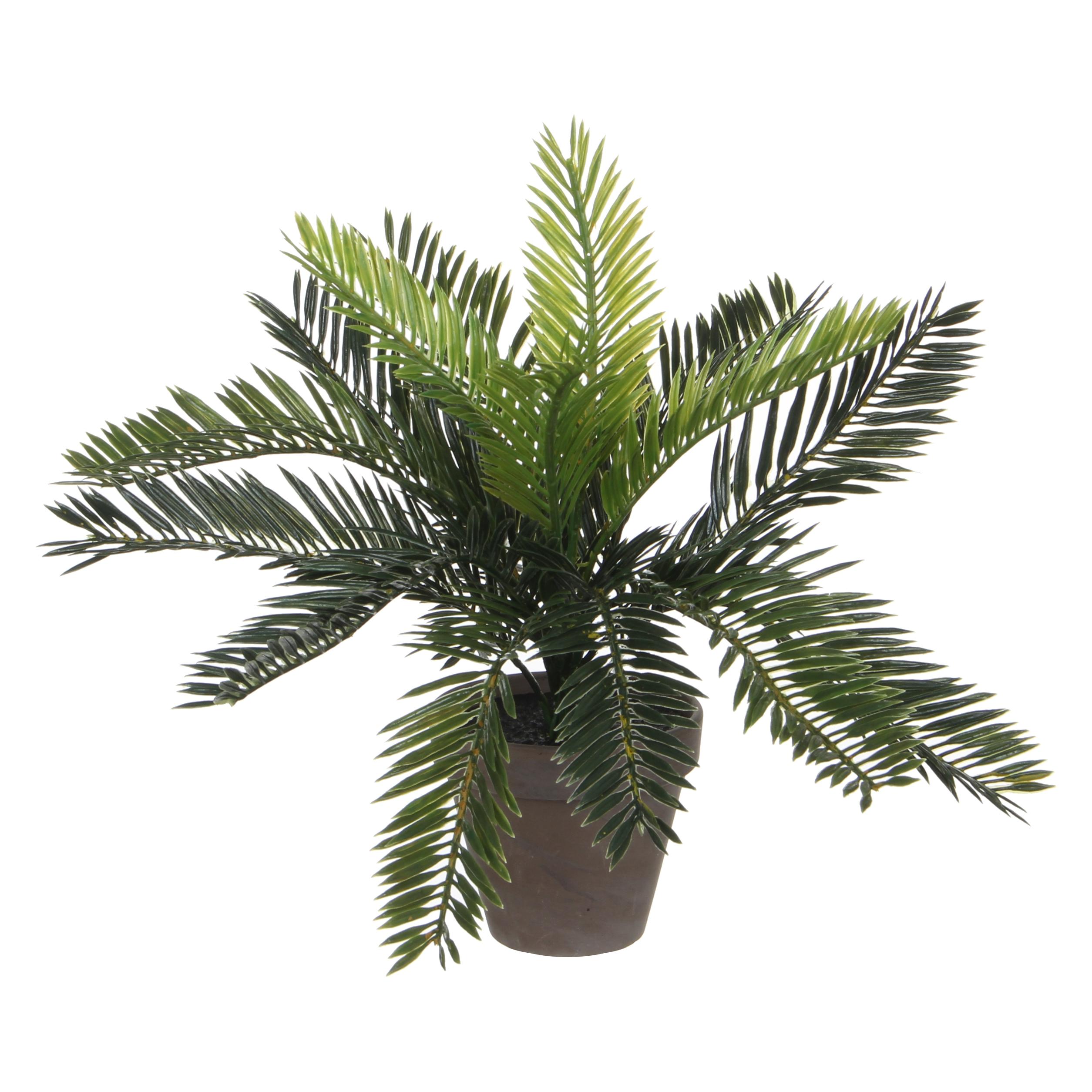 Mica Decorations Palme (33 cm) (1044530)